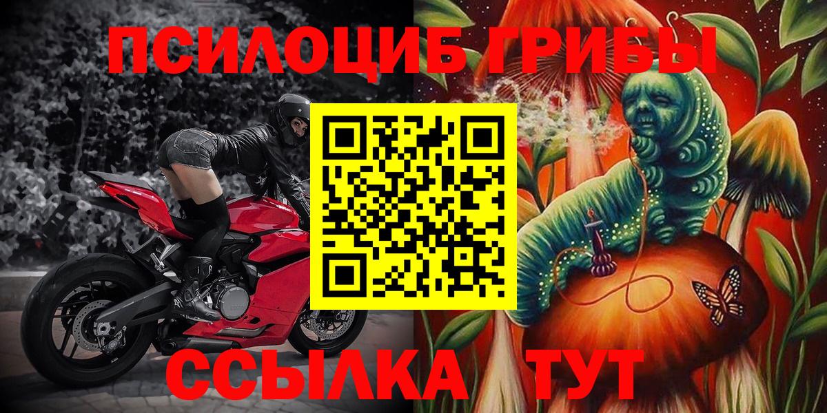 Псилоцибиновые грибы ЛСД  Псилоцибиновые грибы MAGIC MUSHROOMS  Вход с VPN  Мурино 